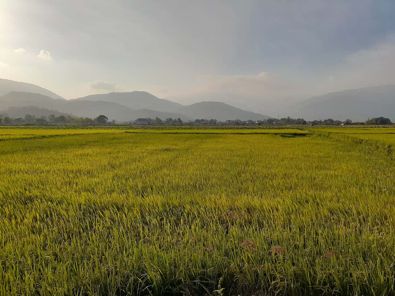 PM Kisan Yojana की 22वीं किस्त से पहले कृषि मंत्री का बड़ा एलान, इन्हें मिलेगा सबसे ज्यादा फायदा