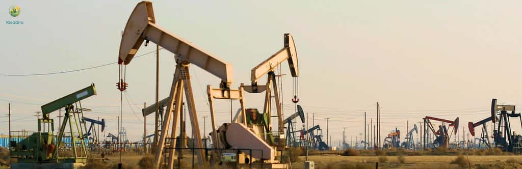 तेल की छूट खत्म, खाद का निर्यात बंद, रूस ने भारत को झटके दिए