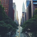 विज्ञान: मिट्टी कार्बन का खेती में असली महत्व