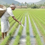 Why fertilizer bans fail and what smarter policy design looks like