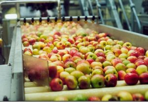 एग्रीगेशन और ग्रेडिंग से किसान की ताकत कैसे बढ़ती है