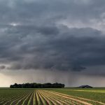 The science behind nutrient uptake and yield stability