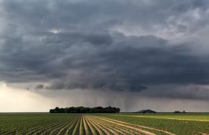 खेती सिस्टम कैसे बनाएं जो मौसम और बाजार दोनों झेल सके
