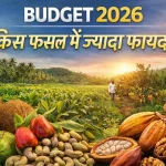 Union Budget 2026–27 and the Future of Indian Agriculture: What It Means for Agritech and Kisaanu