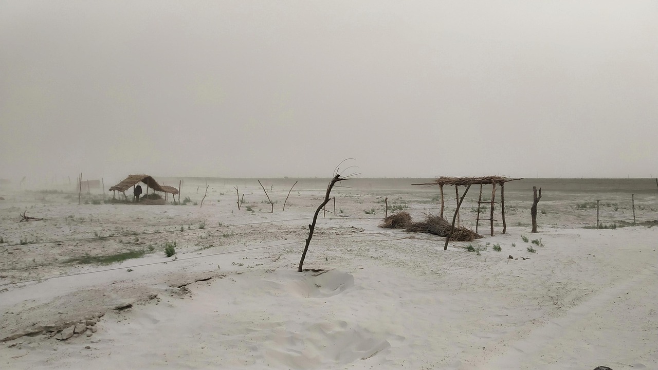 किसानों के लिए नई राहत! केसीसी का दायरा बढ़ाने और कर्ज चुकाने के लिए मिलेगा अधिक समय