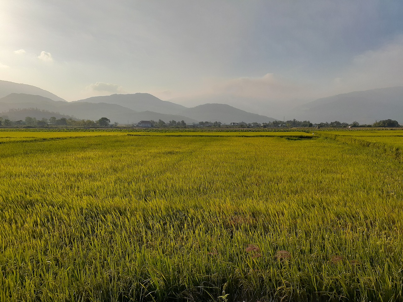 PM Kisan Yojana की 22वीं किस्त से पहले कृषि मंत्री का बड़ा एलान, इन्हें मिलेगा सबसे ज्यादा फायदा