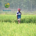 किसानों के लिए सरकार ने विशेष कार्य समूह का गठन किया, कालाबाजारी पर सख्ती के निर्देश