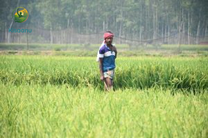 किसानों के लिए सरकार ने विशेष कार्य समूह का गठन किया, कालाबाजारी पर सख्ती के निर्देश