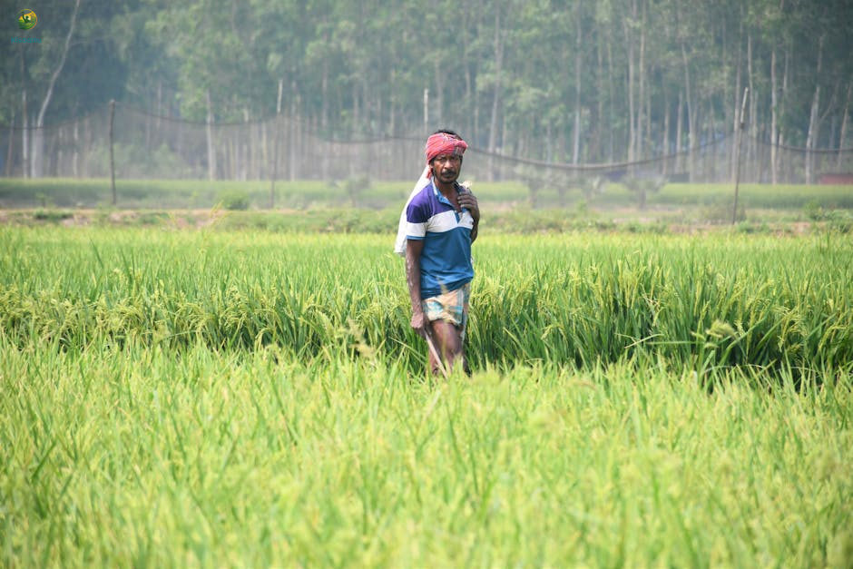 किसानों के लिए सरकार ने विशेष कार्य समूह का गठन किया, कालाबाजारी पर सख्ती के निर्देश
